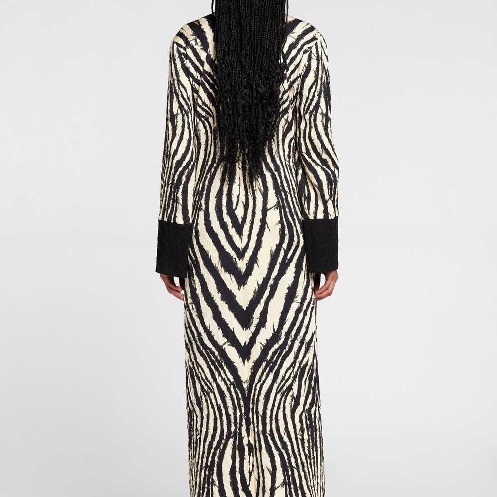 Roberto Cavalli Freedom-Print Maxi Dress - Picture 3 of 11
